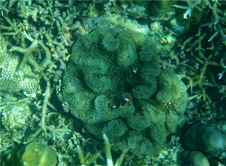 出海活動—(大小潟湖、清水島、神秘潟湖)